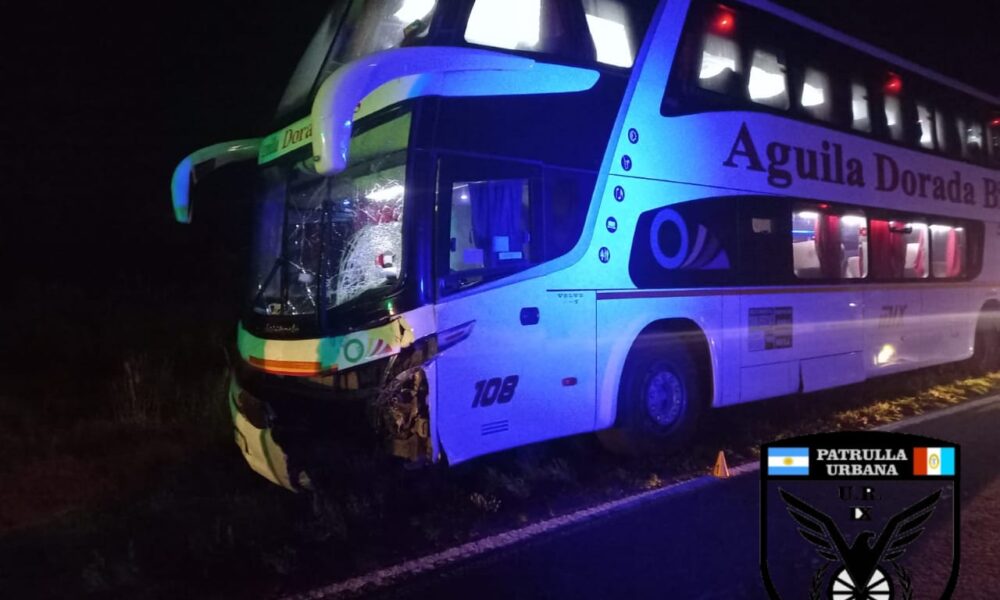 accidente fatal ruta 11