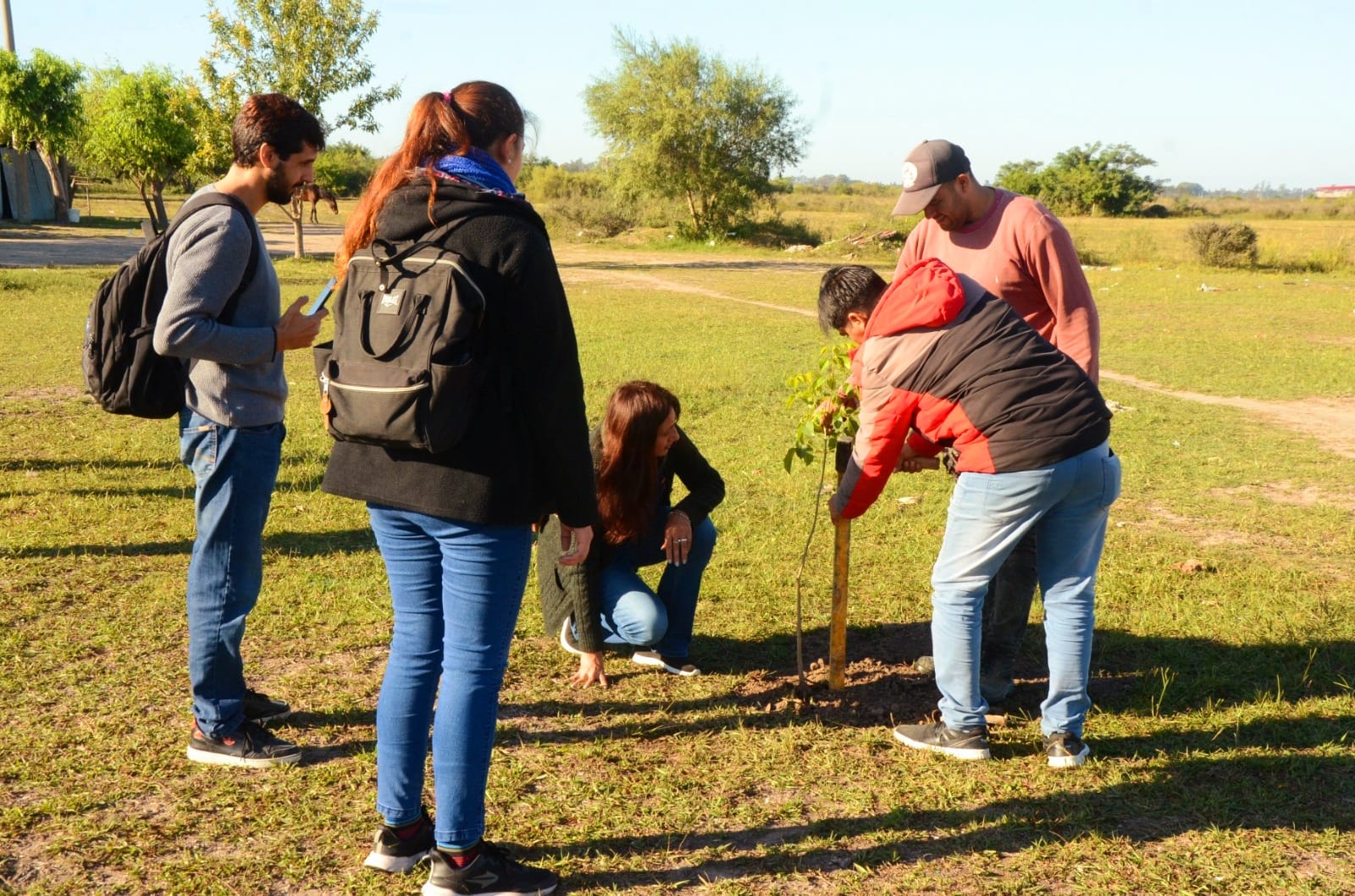 03 se plantaron 50 árboles nativos