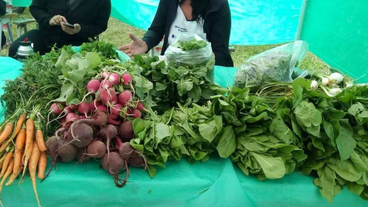 feria de emprendedores en Reconquista