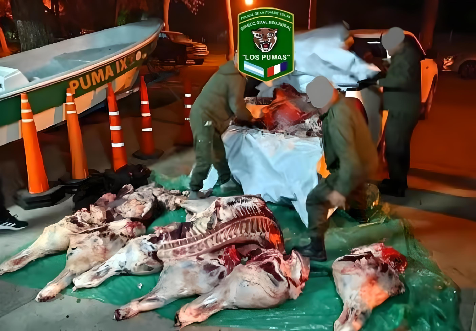 Decomisaron más de media tonelada de carne vacuna en la Ruta 40 S