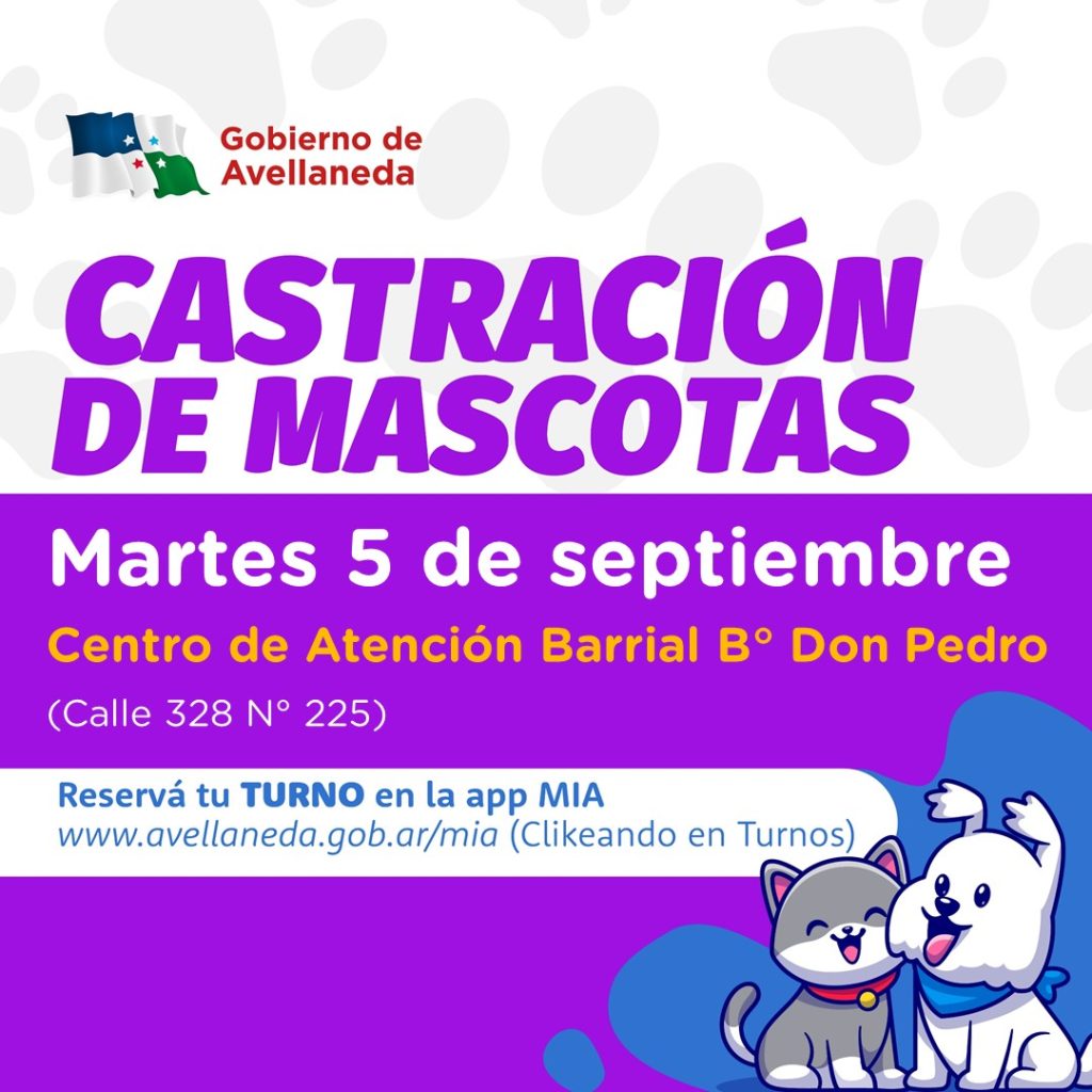 castracion-feed-5-septiembre-1024x1024