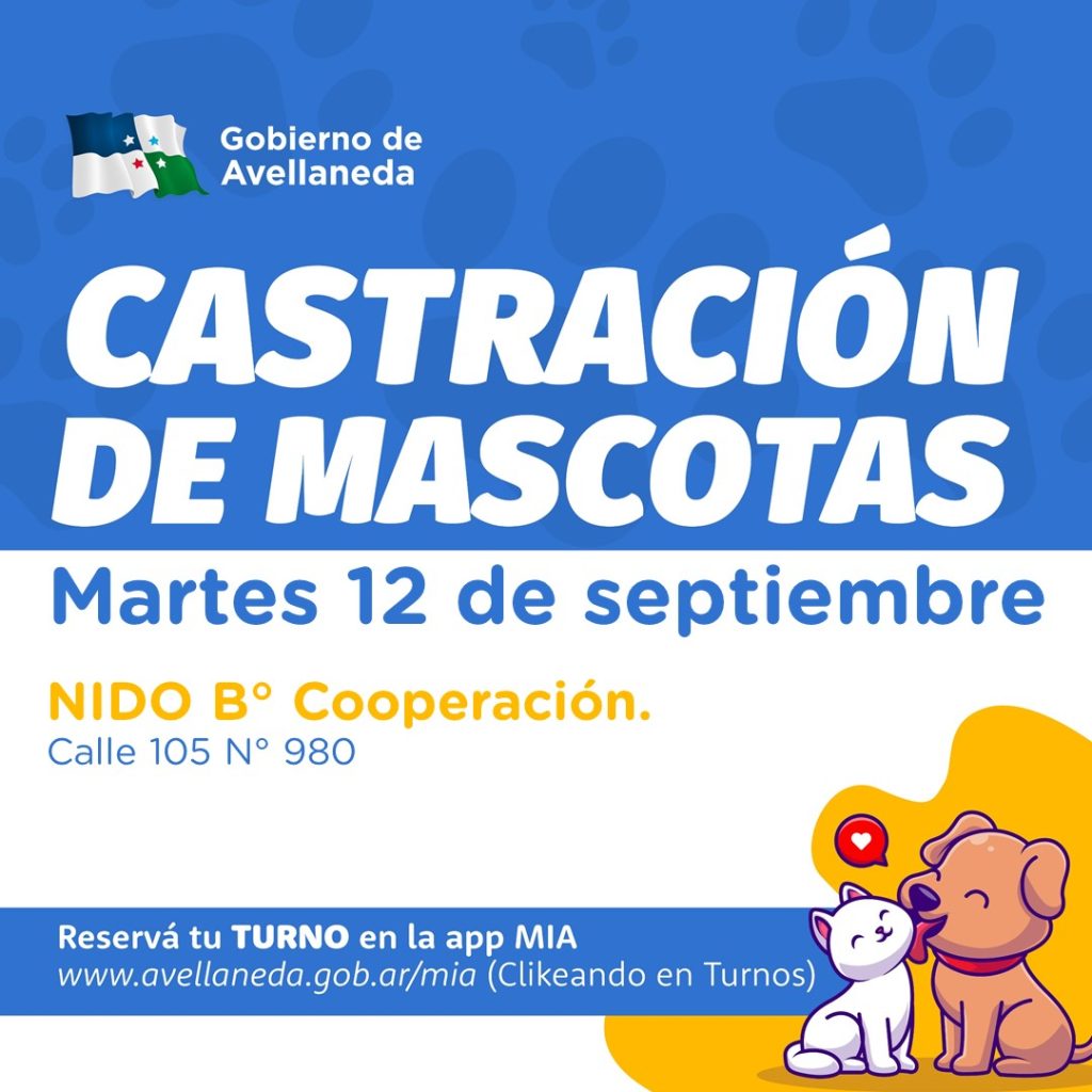 castracion-martes-12-sept-feed-1024x1024-1