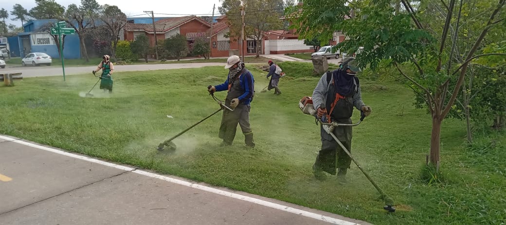 acciones-y-servicios-3