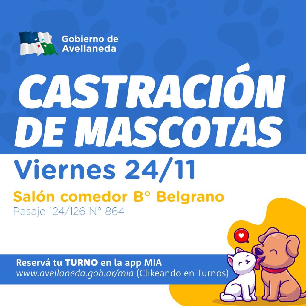 Castracion-Feed-Edit-23-1024x1024